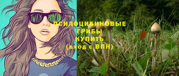 соль ск Краснослободск