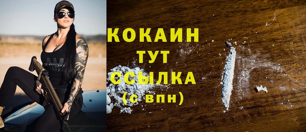 соль ск Краснослободск
