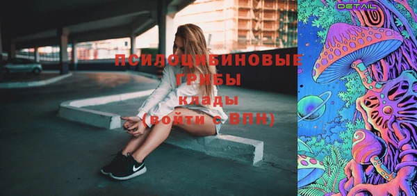 соль ск Краснослободск