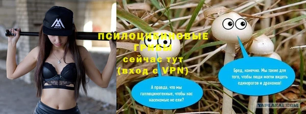 ALPHA PVP Домодедово