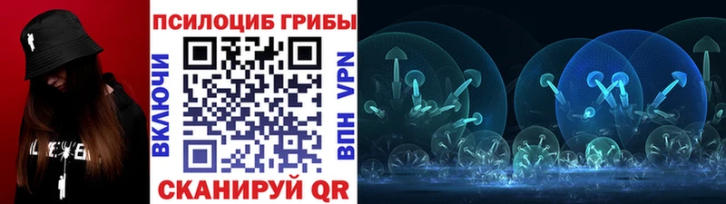 Псилоцибиновые грибы Psilocybe Купить Лыткарино